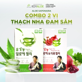 COMBO NGON KHỎE KDY ALOE