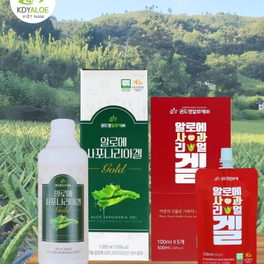 COMBO MÁT KHỎE KDY ALOE